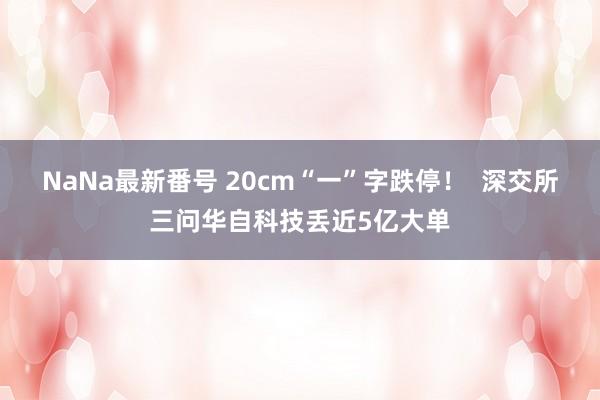 NaNa最新番号 20cm“一”字跌停！  深交所三问华自科技丢近5亿大单