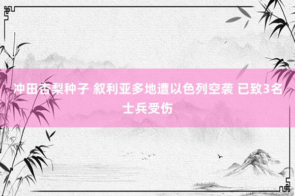 冲田杏梨种子 叙利亚多地遭以色列空袭 已致3名士兵受伤