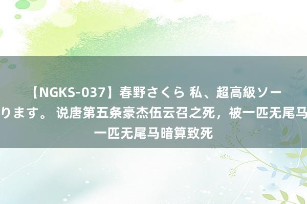 【NGKS-037】春野さくら 私、超高級ソープ嬢になります。 说唐第五条豪杰伍云召之死，被一匹无尾马暗算致死