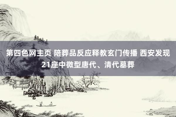 第四色网主页 陪葬品反应释教玄门传播 西安发现21座中微型唐代、清代墓葬