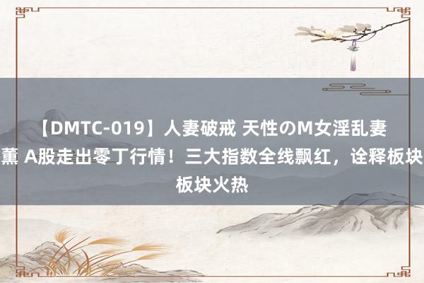 【DMTC-019】人妻破戒 天性のM女淫乱妻 持田薫 A股走出零丁行情！三大指数全线飘红，诠释板块火热