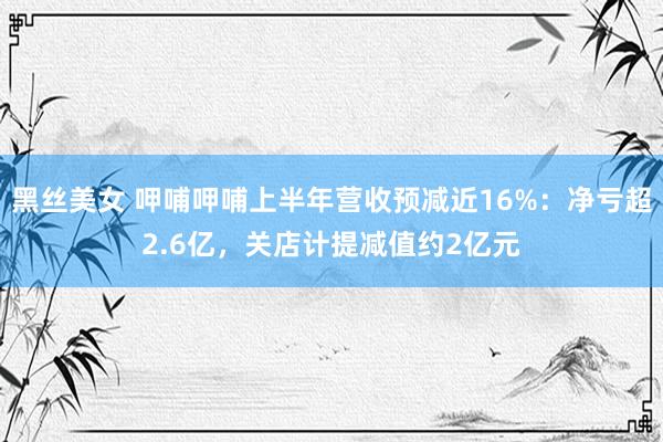 黑丝美女 呷哺呷哺上半年营收预减近16%：净亏超2.6亿，关店计提减值约2亿元