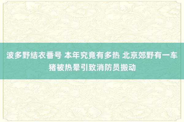 波多野结衣番号 本年究竟有多热 北京郊野有一车猪被热晕引致消防员搬动