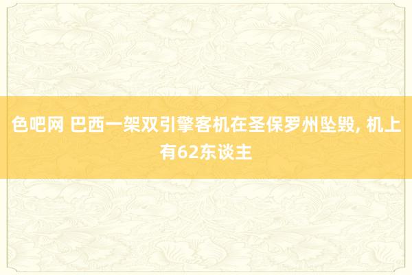 色吧网 巴西一架双引擎客机在圣保罗州坠毁, 机上有62东谈主