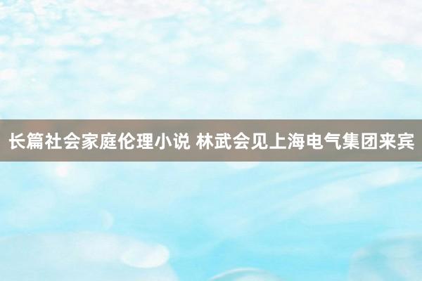 长篇社会家庭伦理小说 林武会见上海电气集团来宾