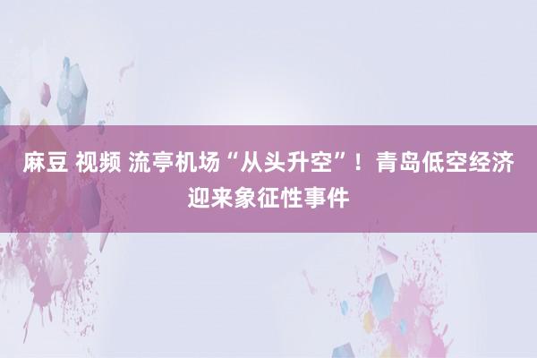 麻豆 视频 流亭机场“从头升空”！青岛低空经济迎来象征性事件