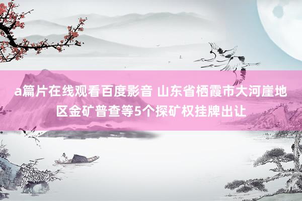 a篇片在线观看百度影音 山东省栖霞市大河崖地区金矿普查等5个探矿权挂牌出让