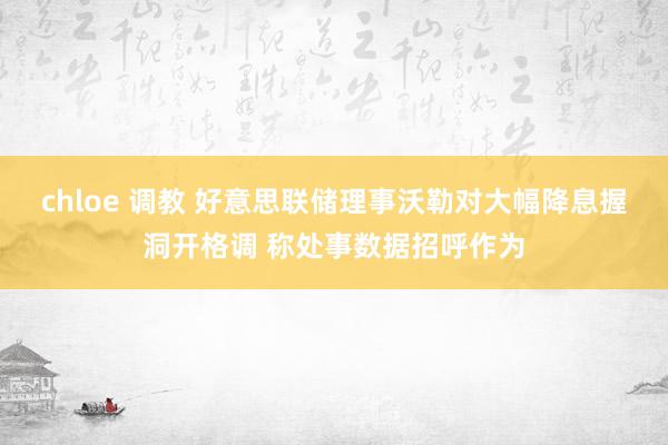 chloe 调教 好意思联储理事沃勒对大幅降息握洞开格调 称处事数据招呼作为