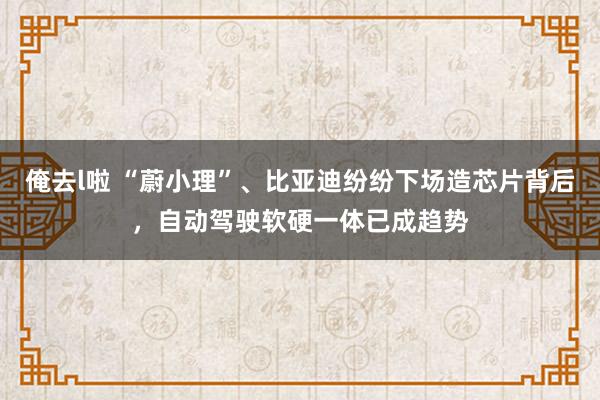 俺去l啦 “蔚小理”、比亚迪纷纷下场造芯片背后，自动驾驶软硬一体已成趋势