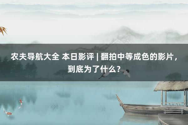 农夫导航大全 本日影评 | 翻拍中等成色的影片，到底为了什么？