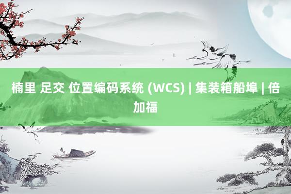 楠里 足交 位置编码系统 (WCS) | 集装箱船埠 | 倍加福