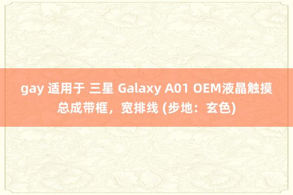 gay 适用于 三星 Galaxy A01 OEM液晶触摸总成带框，宽排线 (步地：玄色)